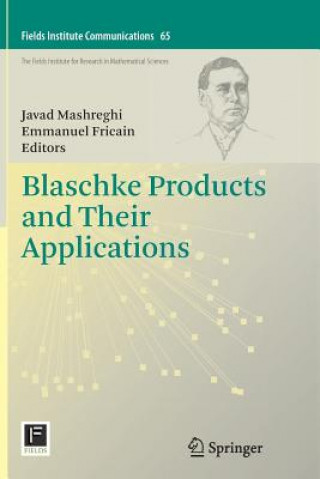 Книга Blaschke Products and Their Applications Emmanuel Fricain
