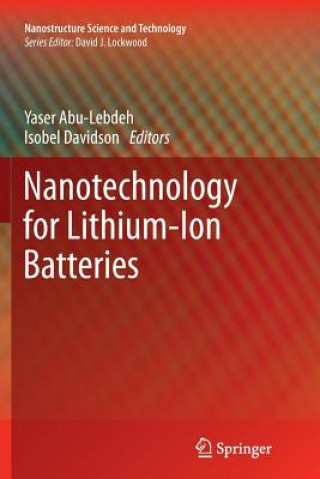 Książka Nanotechnology for Lithium-Ion Batteries Yaser Abu-Lebdeh