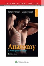 Könyv Anatomy Johannes W. Rohen