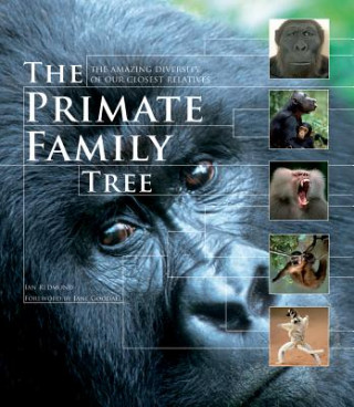 Kniha Primate Family Tree Ian Redmond