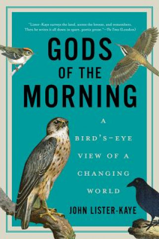 Carte Gods of the Morning - A Bird's-Eye View of a Changing World John Lister-Kaye