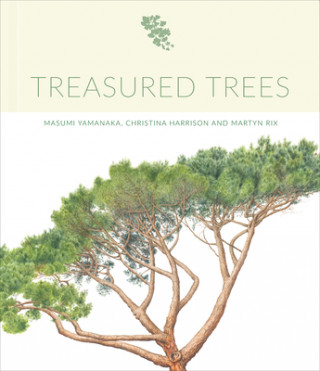 Kniha Treasured Trees Masumi Yamanaka