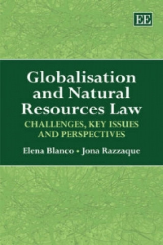 Kniha Globalisation and Natural Resources Law - Challenges, Key Issues and Perspectives Elena Blanco