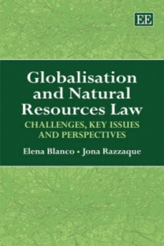 Könyv Globalisation and Natural Resources Law - Challenges, Key Issues and Perspectives Elena Blanco