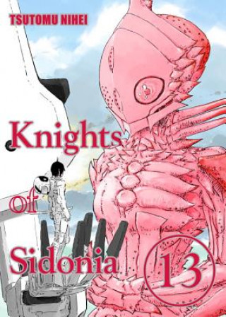 Könyv Knights Of Sidonia Volume 13 Tsutomu Nihei