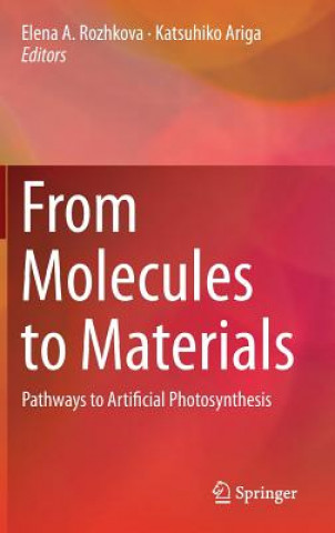 Carte From Molecules to Materials Elena A. Rozhkova