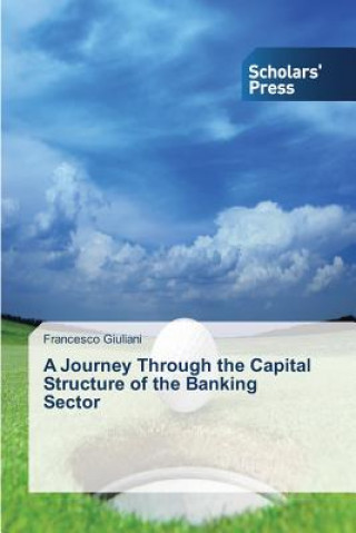 Könyv Journey Through the Capital Structure of the Banking Sector Giuliani Francesco