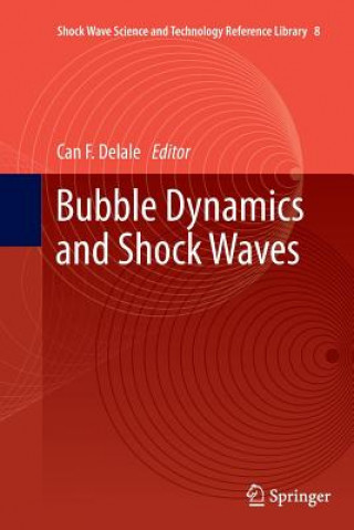 Kniha Bubble Dynamics and Shock Waves Can F. Delale