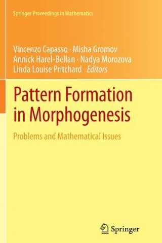 Kniha Pattern Formation in Morphogenesis Vincenzo Capasso