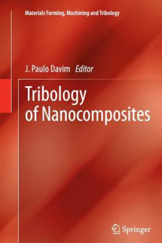 Kniha Tribology of Nanocomposites Paulo Davim J