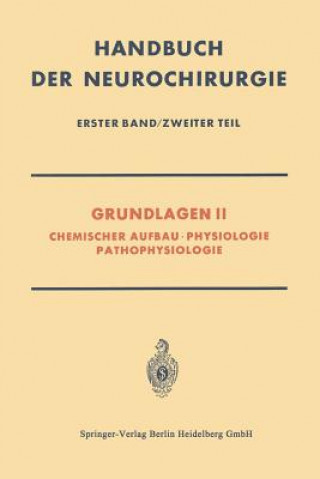 Kniha Grundlagen II Hildegard Debuch