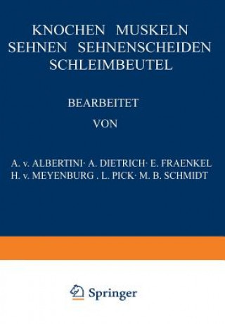 Könyv Knochen - Muskeln Sehnen - Sehnenscheiden Schleimbeutel A V Albertini