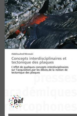 Kniha Concepts Interdisciplinaires Et Tectonique Des Plaques Merzouki-A