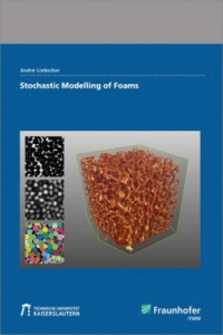 Knjiga Stochastic Modelling of Foams. André Liebscher