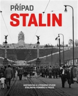 Book Případ Stalin Hana Píchová