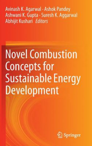 Könyv Novel Combustion Concepts for Sustainable Energy Development Avinash K Agarwal