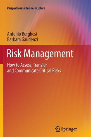 Kniha Risk Management Antonio Borghesi