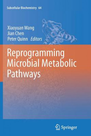 Kniha Reprogramming Microbial Metabolic Pathways Jian Chen