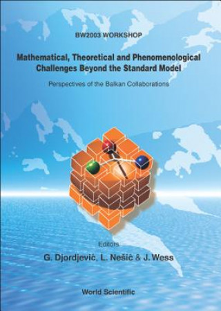 Книга Mathematical, Theoretical and Phenomenological Challenges Beyond the Standard Model Wess Julius
