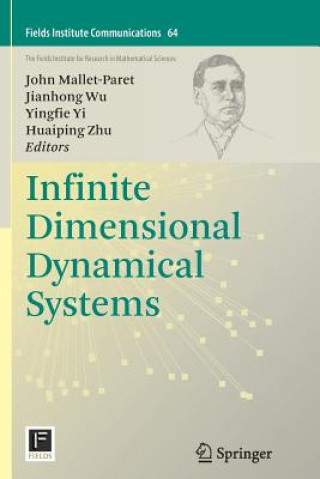 Book Infinite Dimensional Dynamical Systems John Mallet-Paret