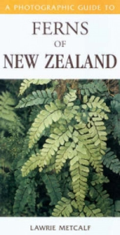 Könyv Photographic Guide To Ferns Of New Zealand Lawrie Metcalf