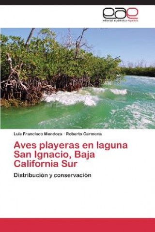 Carte Aves playeras en laguna San Ignacio, Baja California Sur Mendoza Luis Francisco