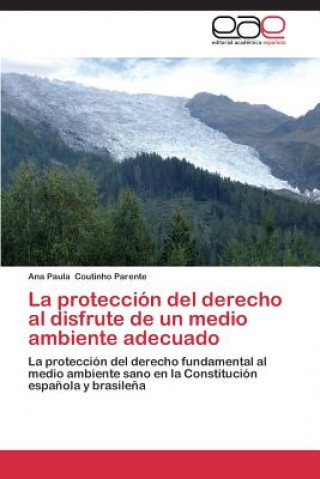 Carte proteccion del derecho al disfrute de un medio ambiente adecuado Coutinho Parente Ana Paula