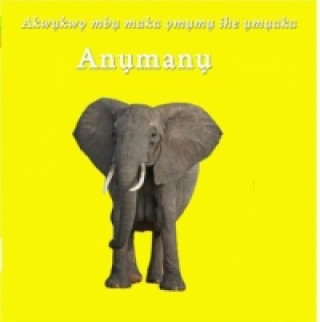 Könyv Anumanu Chidi George Oramalu