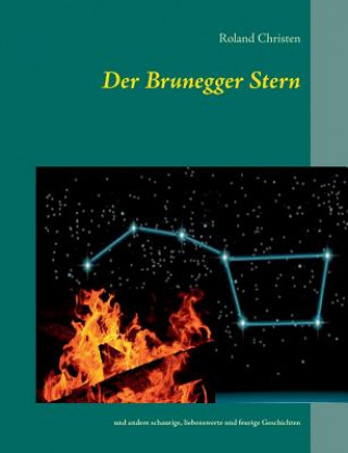 Kniha Brunegger Stern Roland Christen