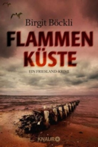 Könyv Flammenküste Birgit Böckli