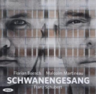 Audio Schwanengesang, 1 Audio-CD Boesch/Martineau