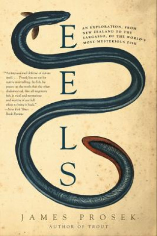 Książka Eels James Prosek