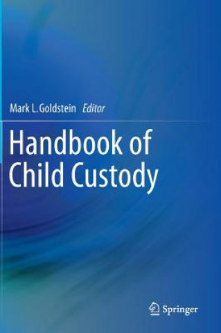 Könyv Handbook of Child Custody Mark L. Goldstein