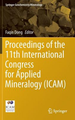 Könyv Proceedings of the 11th International Congress for Applied Mineralogy (ICAM) Dong Faqin