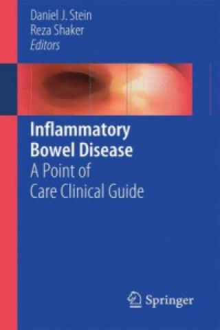 Kniha Inflammatory Bowel Disease Daniel J. Stein