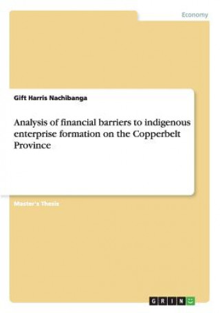 Könyv Analysis of financial barriers to indigenous enterprise formation on the Copperbelt Province Gift Harris Nachibanga