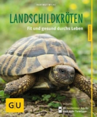 Könyv Landschildkröten Hartmut Wilke