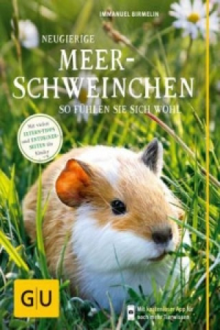 Kniha Neugierige Meerschweinchen Immanuel Birmelin