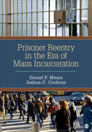 Kniha Prisoner Reentry in the Era of Mass Incarceration Daniel P Mears