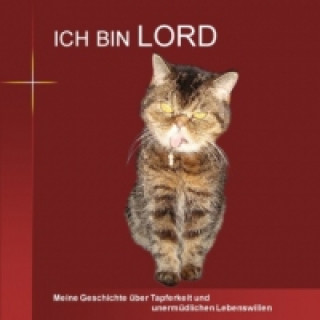 Knjiga Ich bin Lord Katrin Aberegg