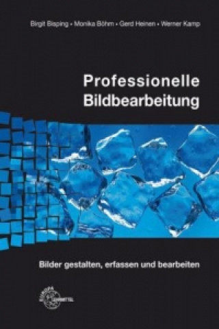 Książka Professionelle Bildbearbeitung, m. CD-ROM Birgit Bisping