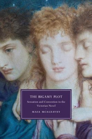 Carte Bigamy Plot Maia McAleavey