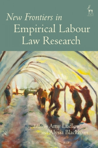 Kniha New Frontiers in Empirical Labour Law Research 