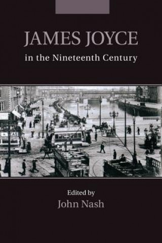 Kniha James Joyce in the Nineteenth Century John Nash