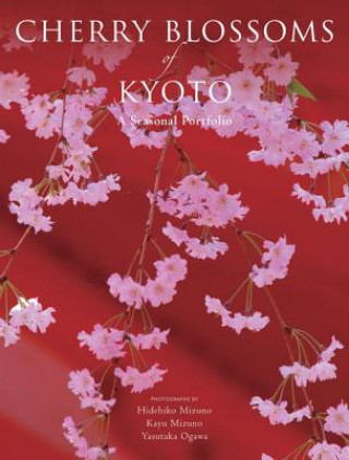 Kniha Cherry Blossoms Of Kyoto Hidehiko Mizuno