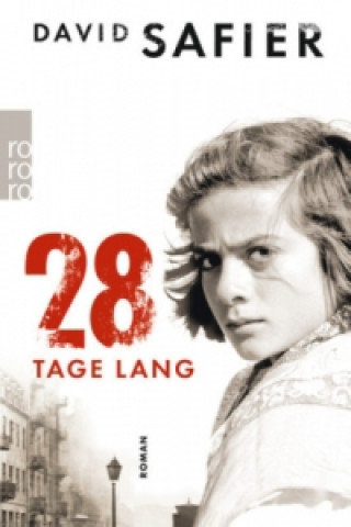 Buch 28 Tage lang David Safier