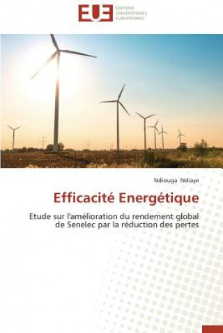 Knjiga Efficacit  Energ tique Ndiaye-N