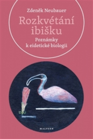 Könyv Rozkvétání ibišku Zdeněk Neubauer