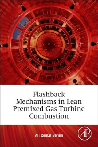 Kniha Flashback Mechanisms in Lean Premixed Gas Turbine Combustion Ali Benim