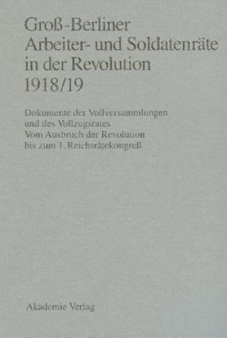 Kniha Gross-Berliner Arbeiter- Und Soldatenraete in Der Revolution 1918/19 Gerhard Engel